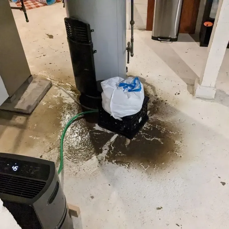 Sewage Backup Cleanup Service in Lipscomb, AL